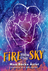 表紙画像: Fire From the Sky 9781646142484