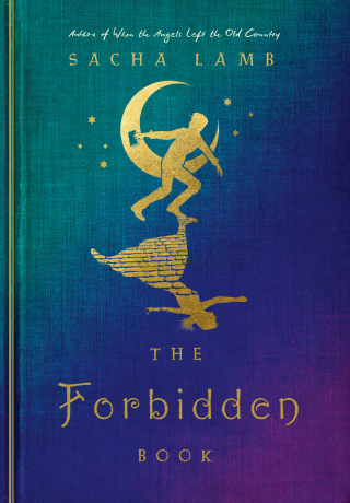 Imagen de portada: The Forbidden Book 9781646144563