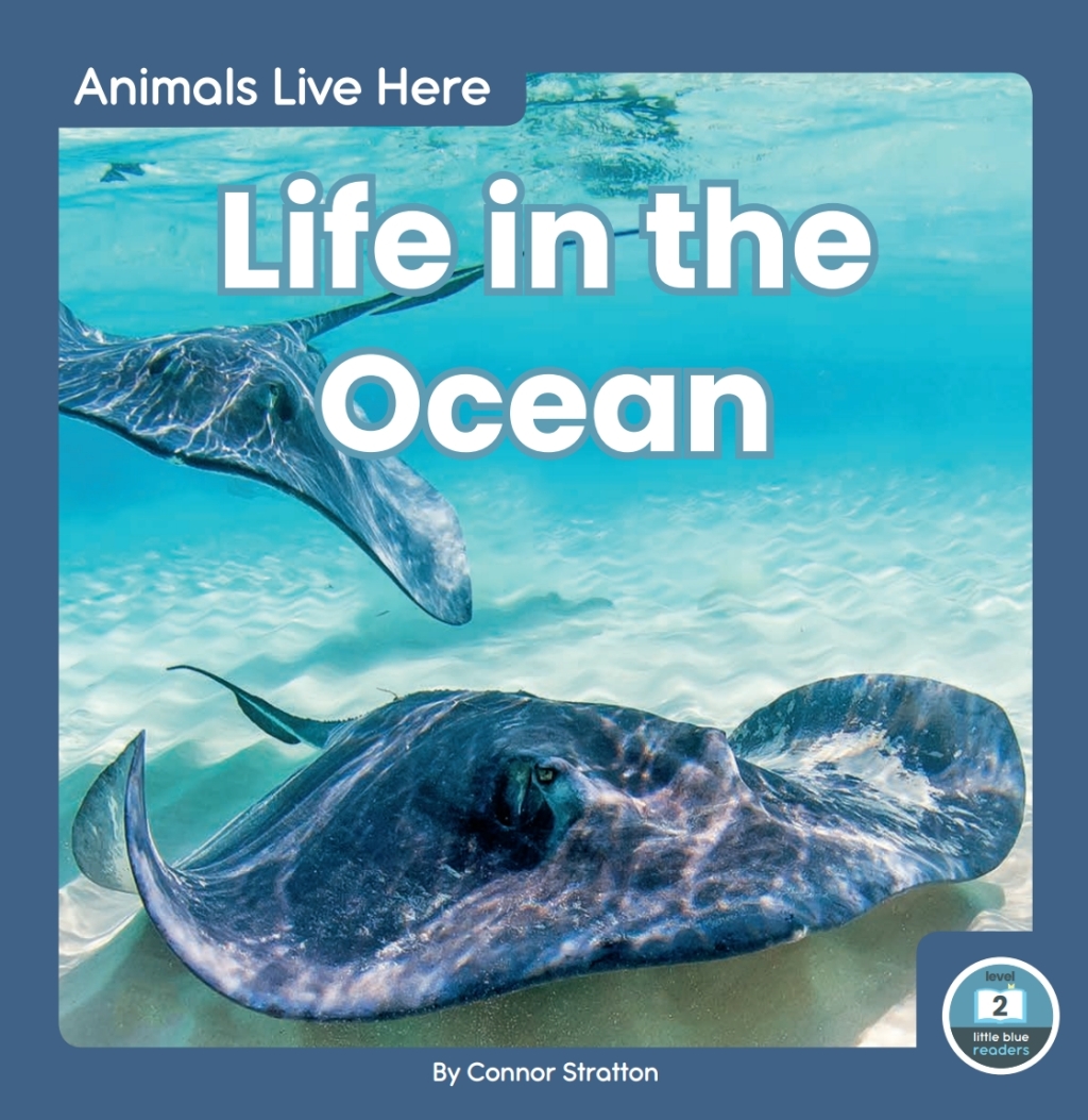 Life in the Ocean 1st Edition