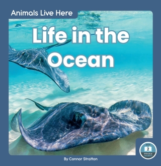 صورة الغلاف: Life in the Ocean 1st edition 9781646190232