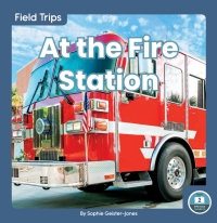 Cover image: At the Fire Station 1st edition 9781646190294