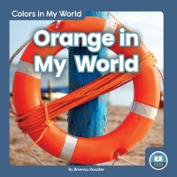 صورة الغلاف: Orange in My World 1st edition 9781646191598