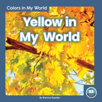 Immagine di copertina: Yellow in My World 1st edition 9781646191628