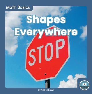 Cover image: Shapes Everywhere 1st edition 9781646191697