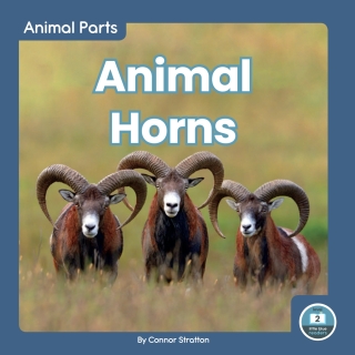 Cover image: Animal Horns 1st edition 9781646191765