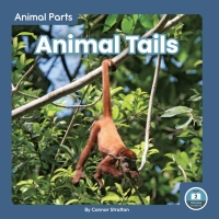 Cover image: Animal Tails 1st edition 9781646191802