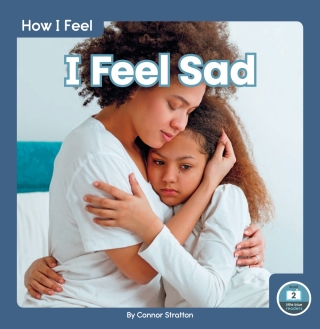 Cover image: I Feel Sad 1st edition 9781646192991