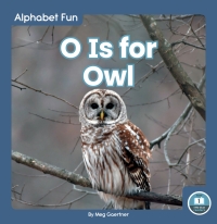 Immagine di copertina: O Is for Owl 1st edition 9781646193790