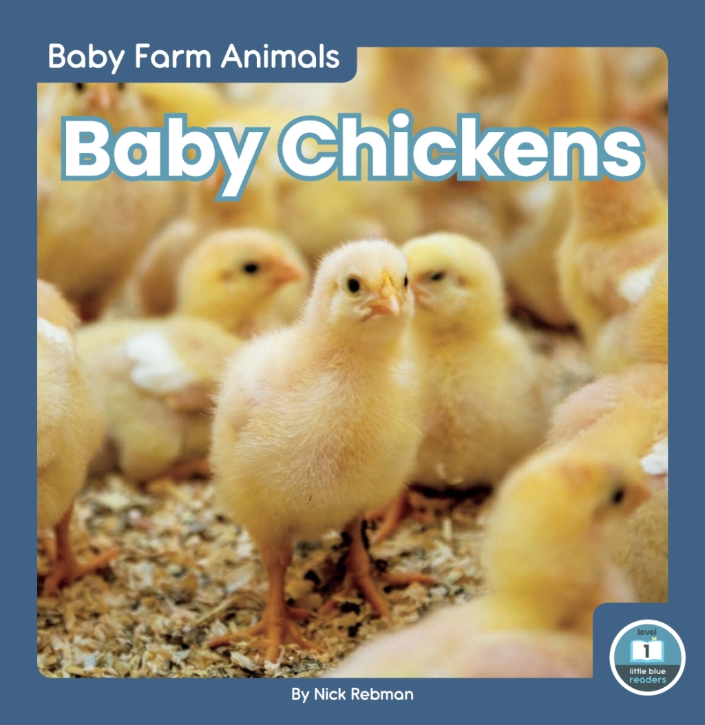Baby Chickens 1st Edition