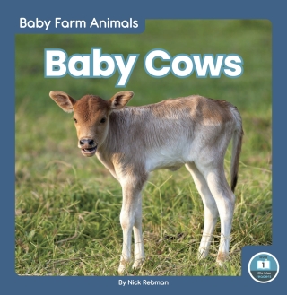 Cover image: Baby Cows 1st edition 9781646194735