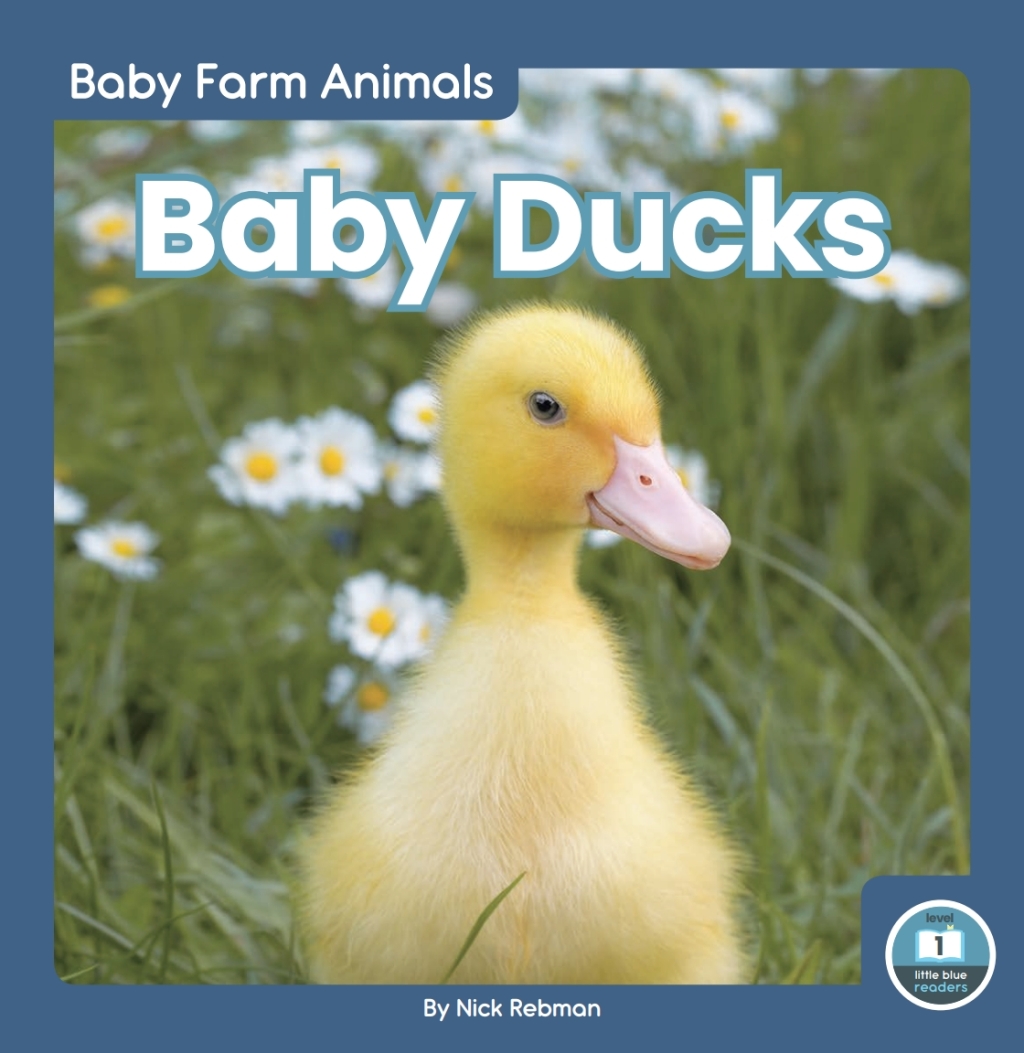Baby Ducks 1st Edition