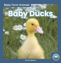 صورة الغلاف: Baby Ducks 1st edition 9781646194742