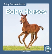Cover image: Baby Horses 1st edition 9781646194766