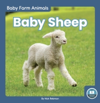 Omslagafbeelding: Baby Sheep 1st edition 9781646194797