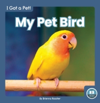 Cover image: My Pet Bird 1st edition 9781646195848