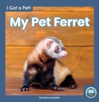 Cover image: My Pet Ferret 1st edition 9781646195879