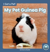 Titelbild: My Pet Guinea Pig 1st edition 9781646195893