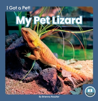 صورة الغلاف: My Pet Lizard 1st edition 9781646195916