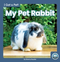 Imagen de portada: My Pet Rabbit 1st edition 9781646195923