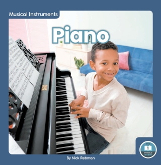Imagen de portada: Piano 1st edition 9781646197002