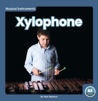 Immagine di copertina: Xylophone 1st edition 9781646197057