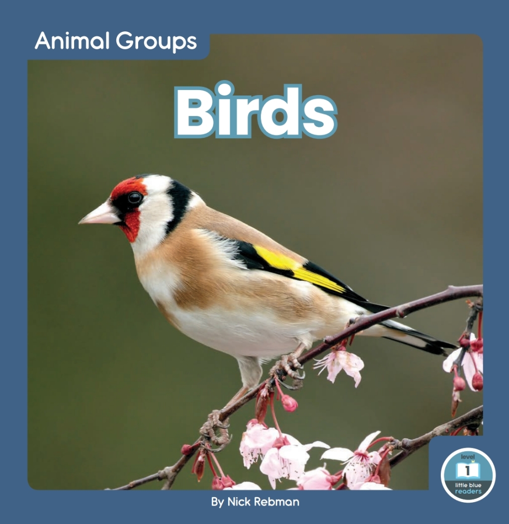 Birds 1st Edition