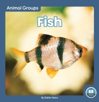 Cover image: Fish 1st edition 9781646198085
