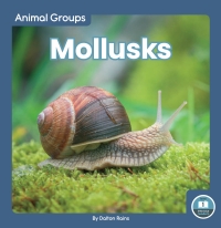 Cover image: Mollusks 1st edition 9781646198115