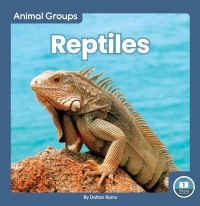 Imagen de portada: Reptiles 1st edition 9781646198122