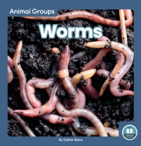 Titelbild: Worms 1st edition 9781646198139