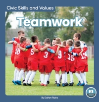 Cover image: Teamwork 1st edition 9781646198245