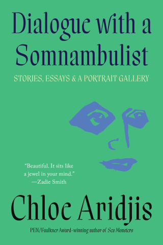 Cover image: Dialogue with a Somnambulist 9781646221820