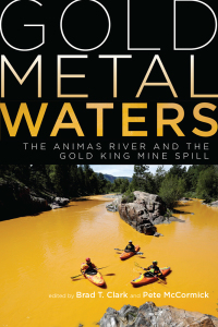 Cover image: Gold Metal Waters 9781646423088