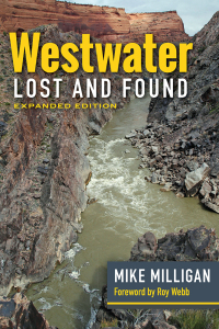 Imagen de portada: Westwater Lost and Found 9781646425440