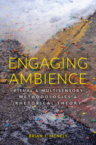 Imagen de portada: Engaging Ambience 9781646425877