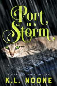Cover image: Port in the Storm 9781646560400