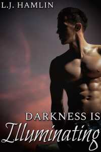 Imagen de portada: Darkness Is Illuminating 9781646560424