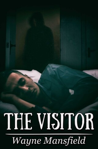 Imagen de portada: The Visitor 9781646566709