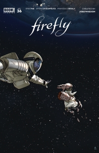 Imagen de portada: Firefly 9781646687572