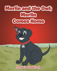 Omslagafbeelding: Merlin and the Owl: Merlin Comes Home 9781646704446