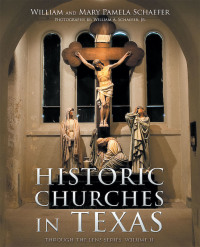 表紙画像: Historic Churches in Texas 9781646705849