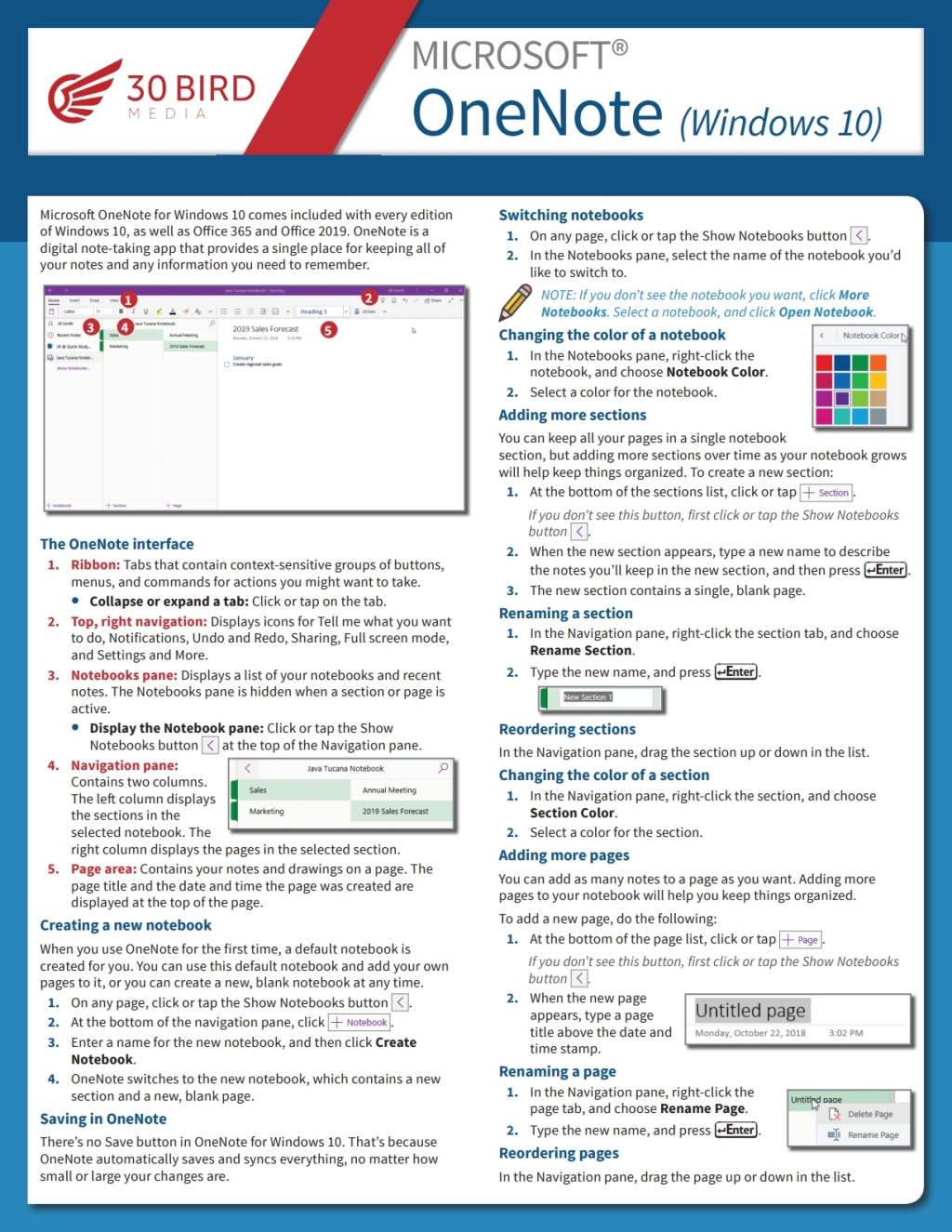 Microsoft OneNote ShortTrack Training 1st Edition
