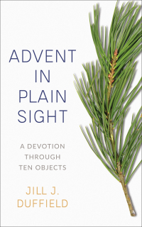 Titelbild: Advent in Plain Sight 9780664267148