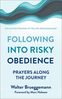 Cover image: Following into Risky Obedience 9780664268275