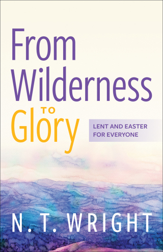 Cover image: From Wilderness to Glory 9780664268862
