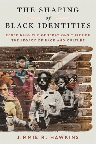 Cover image: The Shaping of Black Identities 9780664269197