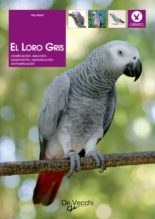 Imagen de portada: El loro gris