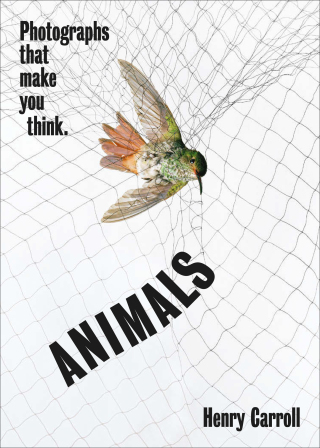 Cover image: ANIMALS 9781419751462