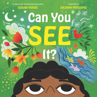 Cover image: Can You See It? 9781419761638