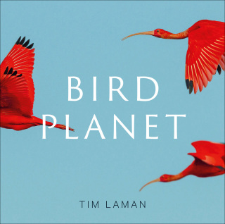 Cover image: Bird Planet 9781419761492